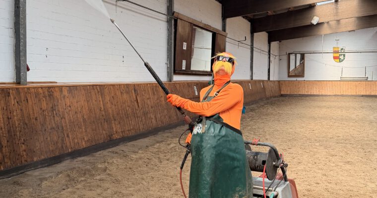 Frühjahrsputz im Reitverein